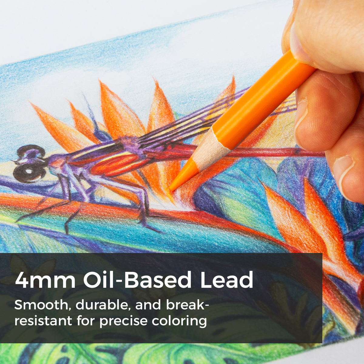 Ohuhu Halawa Series 72 Colors Oil-based Colored Pencils | Ohuhu Deals